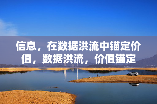信息，在数据洪流中锚定价值，数据洪流，价值锚定