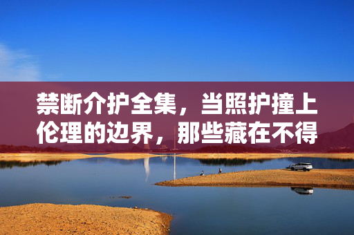 禁断介护全集，当照护撞上伦理的边界，那些藏在不得已里的挣扎与真相，禁断介护，当照护撞上伦理边界的挣扎与真相