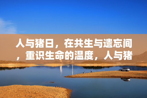 人与猪日,在共生与遗忘间,重识生命的温度,人与猪日,在共生与遗忘中重识生命温度 人与猪日,在共生与遗忘间,重识生命的温度,人与猪日,在共生与遗忘中重识生命温度
