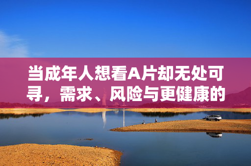当成年人想看A片却无处可寻,需求、风险与更健康的出口,成年人看A片无处可寻,需求、风险与健康出口 当成年人想看A片却无处可寻,需求、风险与更健康的出口,成年人看A片无处可寻,需求、风险与健康出口