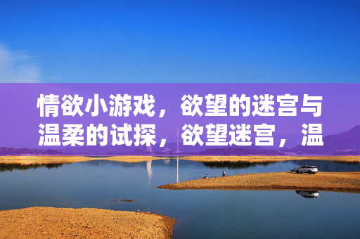 情欲小游戏,欲望的迷宫与温柔的试探,欲望迷宫,温柔的试探游戏 情欲小游戏,欲望的迷宫与温柔的试探,欲望迷宫,温柔的试探游戏