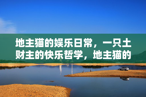 地主猫的娱乐日常,一只土财主的快乐哲学,地主猫的快乐日常哲学 地主猫的娱乐日常,一只土财主的快乐哲学,地主猫的快乐日常哲学