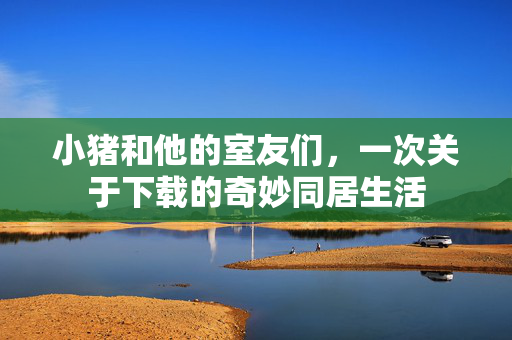 小猪和他的室友们，一次关于下载的奇妙同居生活