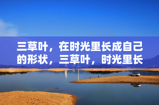 三草叶,在时光里长成自己的形状,三草叶,时光里长成自己的模样 三草叶,在时光里长成自己的形状,三草叶,时光里长成自己的模样