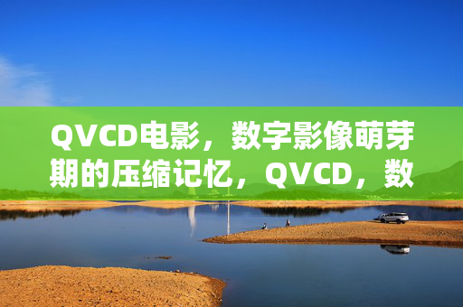 QVCD电影,数字影像萌芽期的压缩记忆,QVCD,数字影像萌芽期的压缩记忆 QVCD电影,数字影像萌芽期的压缩记忆,QVCD,数字影像萌芽期的压缩记忆