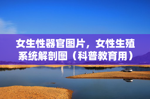 女生性器官图片,女性生殖系统解剖图(科普教育用) 女生性器官图片,女性生殖系统解剖图(科普教育用)