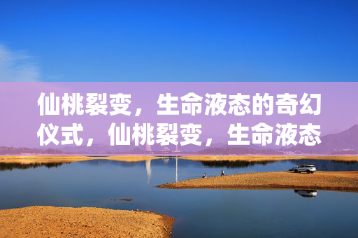 仙桃裂变,生命液态的奇幻仪式,仙桃裂变,生命液态奇幻仪式 仙桃裂变,生命液态的奇幻仪式,仙桃裂变,生命液态奇幻仪式