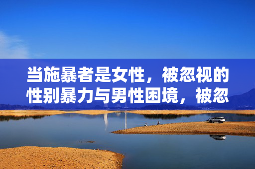 当施暴者是女性,被忽视的性别暴力与男性困境,被忽视的女性施暴,男性的性别暴力困境 当施暴者是女性,被忽视的性别暴力与男性困境,被忽视的女性施暴,男性的性别暴力困境