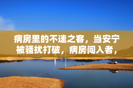 病房里的不速之客,当安宁被骚扰打破,病房闯入者,安宁破碎 病房里的不速之客,当安宁被骚扰打破,病房闯入者,安宁破碎