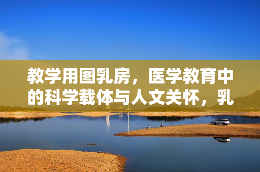 教学用图乳房,医学教育中的科学载体与人文关怀,乳房教学用图,医学教育的科学载体与人文关怀 教学用图乳房,医学教育中的科学载体与人文关怀,乳房教学用图,医学教育的科学载体与人文关怀