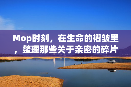 Mop时刻,在生命的褶皱里,整理那些关于亲密的碎片,在生命的褶皱里整理亲密的碎片 Mop时刻,在生命的褶皱里,整理那些关于亲密的碎片,在生命的褶皱里整理亲密的碎片