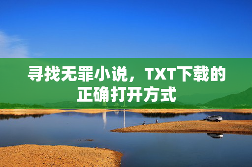 寻找无罪小说,TXT下载的正确打开方式 寻找无罪小说,TXT下载的正确打开方式