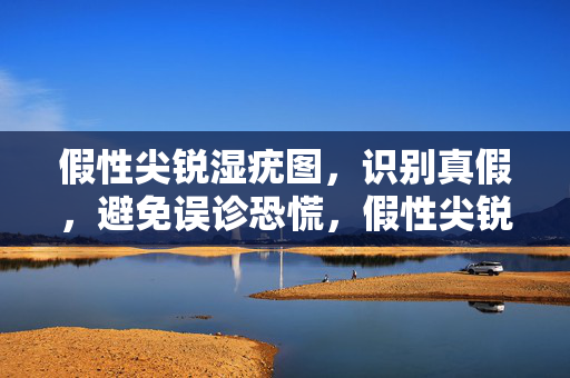 假性尖锐湿疣图,识别真假,避免误诊恐慌,假性尖锐湿疣图,识别真假,避免误诊恐慌 假性尖锐湿疣图,识别真假,避免误诊恐慌,假性尖锐湿疣图,识别真假,避免误诊恐慌