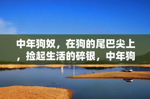 中年狗奴,在狗的尾巴尖上,捡起生活的碎银,中年狗奴在狗尾巴尖捡起生活碎银 中年狗奴,在狗的尾巴尖上,捡起生活的碎银,中年狗奴在狗尾巴尖捡起生活碎银