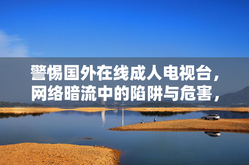 警惕国外在线成人电视台,网络暗流中的陷阱与危害,警惕国外在线成人电视台,网络暗流中的陷阱与危害 警惕国外在线成人电视台,网络暗流中的陷阱与危害,警惕国外在线成人电视台,网络暗流中的陷阱与危害