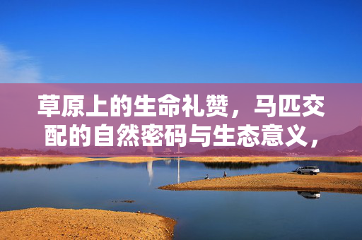 草原上的生命礼赞,马匹交配的自然密码与生态意义,草原生命礼赞,马匹交配的自然密码与生态意义 草原上的生命礼赞,马匹交配的自然密码与生态意义,草原生命礼赞,马匹交配的自然密码与生态意义