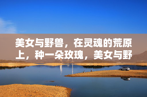 美女与野兽,在灵魂的荒原上,种一朵玫瑰,美女与野兽,灵魂荒原的玫瑰 美女与野兽,在灵魂的荒原上,种一朵玫瑰,美女与野兽,灵魂荒原的玫瑰