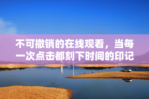 不可撤销的在线观看,当每一次点击都刻下时间的印记,点击刻痕,不可撤销的时间印记 不可撤销的在线观看,当每一次点击都刻下时间的印记,点击刻痕,不可撤销的时间印记