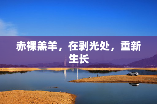 赤裸羔羊，在剥光处，重新生长