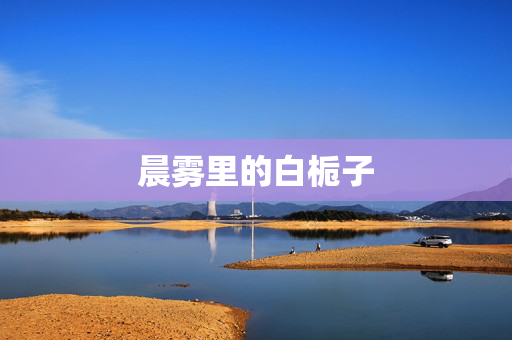 晨雾里的白栀子 晨雾里的白栀子