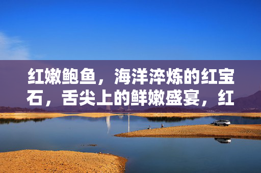 红嫩鲍鱼,海洋淬炼的红宝石,舌尖上的鲜嫩盛宴,红嫩鲍鱼,海洋淬炼的舌尖鲜嫩红宝石盛宴 红嫩鲍鱼,海洋淬炼的红宝石,舌尖上的鲜嫩盛宴,红嫩鲍鱼,海洋淬炼的舌尖鲜嫩红宝石盛宴