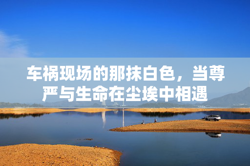 车祸现场的那抹白色，当尊严与生命在尘埃中相遇