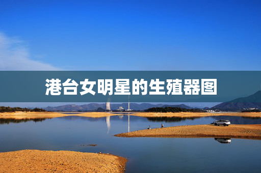 港台女明星的生殖器图 港台女明星的生殖器图