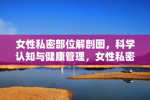 女性私密部位解剖图,科学认知与健康管理,女性私密部位解剖图,科学认知与健康管理指南 女性私密部位解剖图,科学认知与健康管理,女性私密部位解剖图,科学认知与健康管理指南