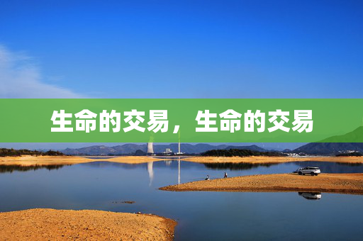 生命的交易,生命的交易 生命的交易,生命的交易