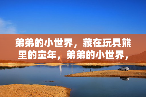 弟弟的小世界,藏在玩具熊里的童年,弟弟的小世界,藏在玩具熊里的童年 弟弟的小世界,藏在玩具熊里的童年,弟弟的小世界,藏在玩具熊里的童年