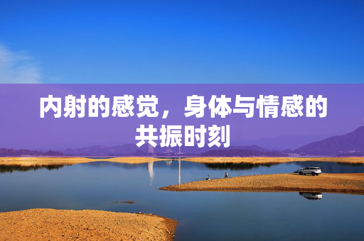 内射的感觉，身体与情感的共振时刻