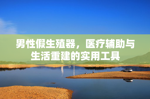 男性假生殖器,医疗辅助与生活重建的实用工具 男性假生殖器,医疗辅助与生活重建的实用工具
