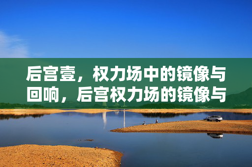 后宫壹,权力场中的镜像与回响,后宫权力场的镜像与回响 后宫壹,权力场中的镜像与回响,后宫权力场的镜像与回响