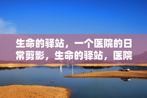 生命的驿站,一个医院的日常剪影,生命的驿站,医院日常剪影 生命的驿站,一个医院的日常剪影,生命的驿站,医院日常剪影