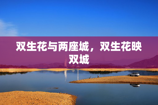 双生花与两座城,双生花映双城 双生花与两座城,双生花映双城