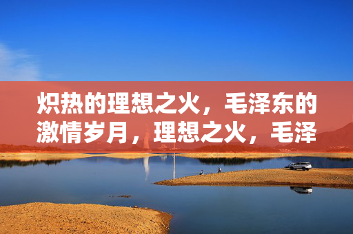 炽热的理想之火,毛泽东的激情岁月,理想之火,毛泽东的激情岁月 炽热的理想之火,毛泽东的激情岁月,理想之火,毛泽东的激情岁月