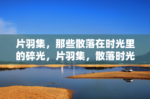 片羽集,那些散落在时光里的碎光,片羽集,散落时光的碎光 片羽集,那些散落在时光里的碎光,片羽集,散落时光的碎光