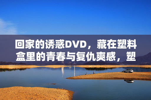 回家的诱惑DVD,藏在塑料盒里的青春与复仇爽感,塑料盒里的回家的诱惑,青春藏不住,复仇超带感 回家的诱惑DVD,藏在塑料盒里的青春与复仇爽感,塑料盒里的回家的诱惑,青春藏不住,复仇超带感