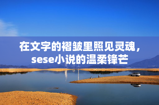 在文字的褶皱里照见灵魂，sese小说的温柔锋芒