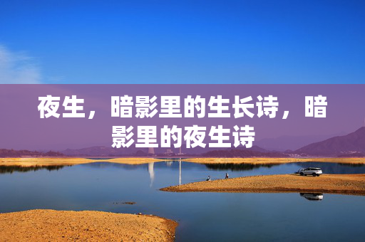 夜生,暗影里的生长诗,暗影里的夜生诗 夜生,暗影里的生长诗,暗影里的夜生诗