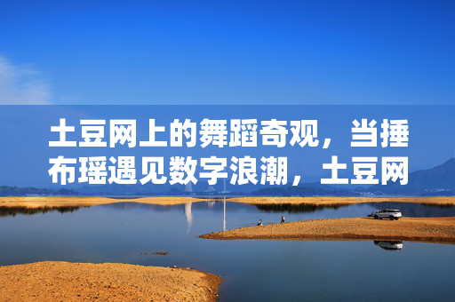 土豆网上的舞蹈奇观,当捶布瑶遇见数字浪潮,土豆网,捶布瑶舞蹈奇观遇上数字浪潮 土豆网上的舞蹈奇观,当捶布瑶遇见数字浪潮,土豆网,捶布瑶舞蹈奇观遇上数字浪潮