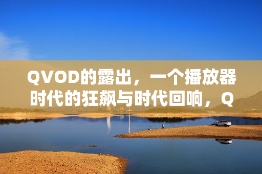 QVOD的露出,一个播放器时代的狂飙与时代回响,QVOD,播放器时代的狂飙与时代回响 QVOD的露出,一个播放器时代的狂飙与时代回响,QVOD,播放器时代的狂飙与时代回响