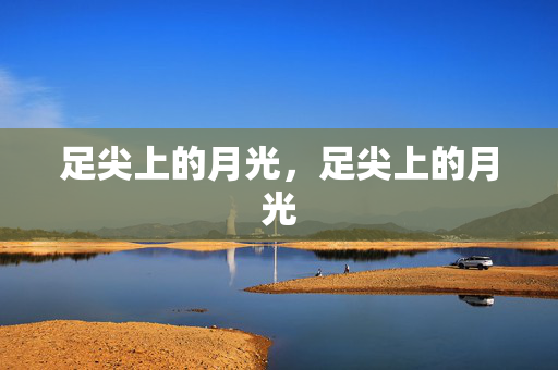 足尖上的月光,足尖上的月光 足尖上的月光,足尖上的月光
