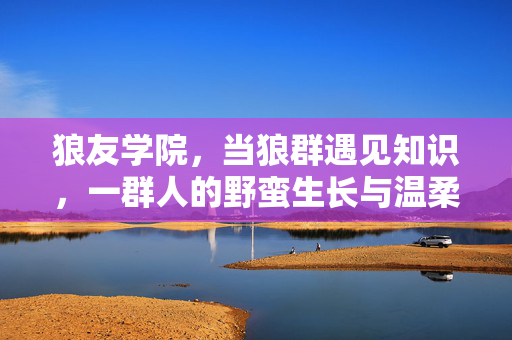 狼友学院，当狼群遇见知识，一群人的野蛮生长与温柔共生，狼群遇知识，野蛮生长与温柔共生的学院
