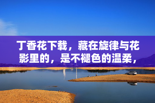 丁香花下载,藏在旋律与花影里的,是不褪色的温柔,丁香花,旋律花影里的不褪色温柔 丁香花下载,藏在旋律与花影里的,是不褪色的温柔,丁香花,旋律花影里的不褪色温柔