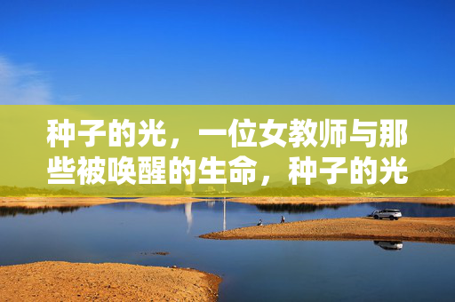 种子的光,一位女教师与那些被唤醒的生命,种子的光,女教师唤醒的生命 种子的光,一位女教师与那些被唤醒的生命,种子的光,女教师唤醒的生命
