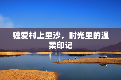 独爱村上里沙,时光里的温柔印记 独爱村上里沙,时光里的温柔印记