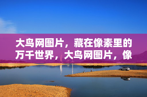 大鸟网图片,藏在像素里的万千世界,大鸟网图片,像素里的万千世界 大鸟网图片,藏在像素里的万千世界,大鸟网图片,像素里的万千世界