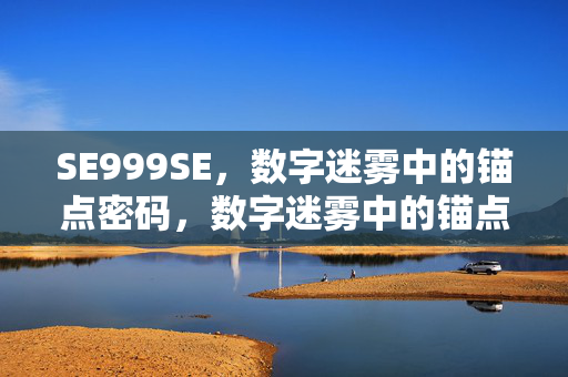 SE999SE，数字迷雾中的锚点密码，数字迷雾中的锚点密码
