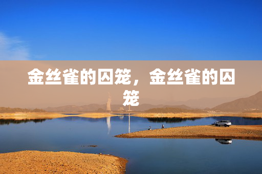 金丝雀的囚笼,金丝雀的囚笼 金丝雀的囚笼,金丝雀的囚笼